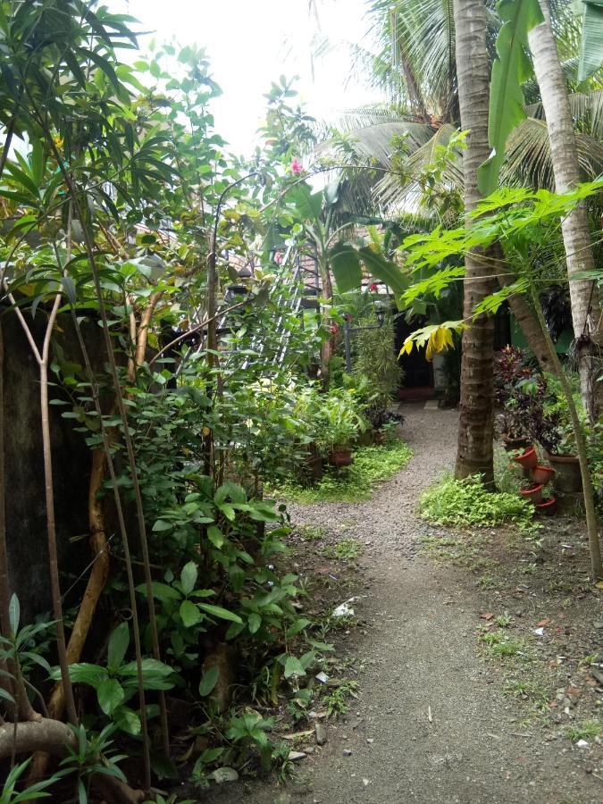 Homestay Coconut Grove