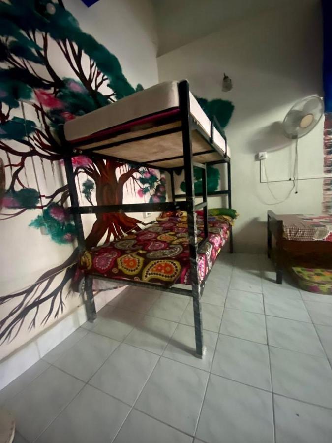 Hostel Brisbane & Kochi