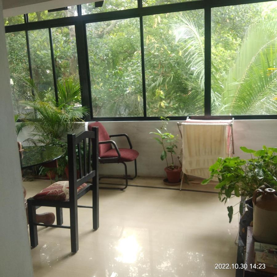 Homestay Taj Mahal *