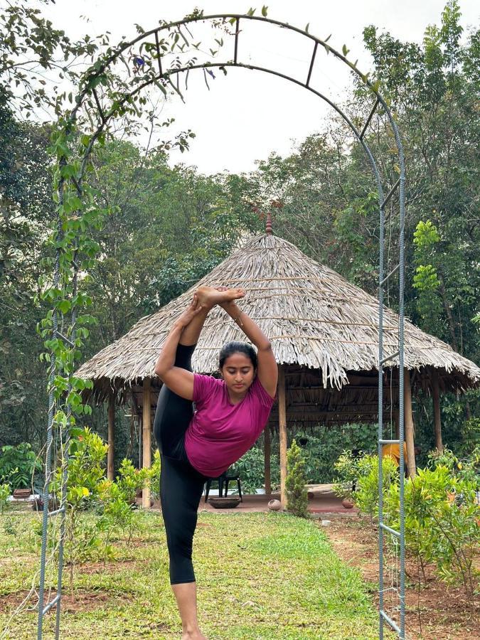 Aparthotel Vajra Ayurveda And Yoga Retreat