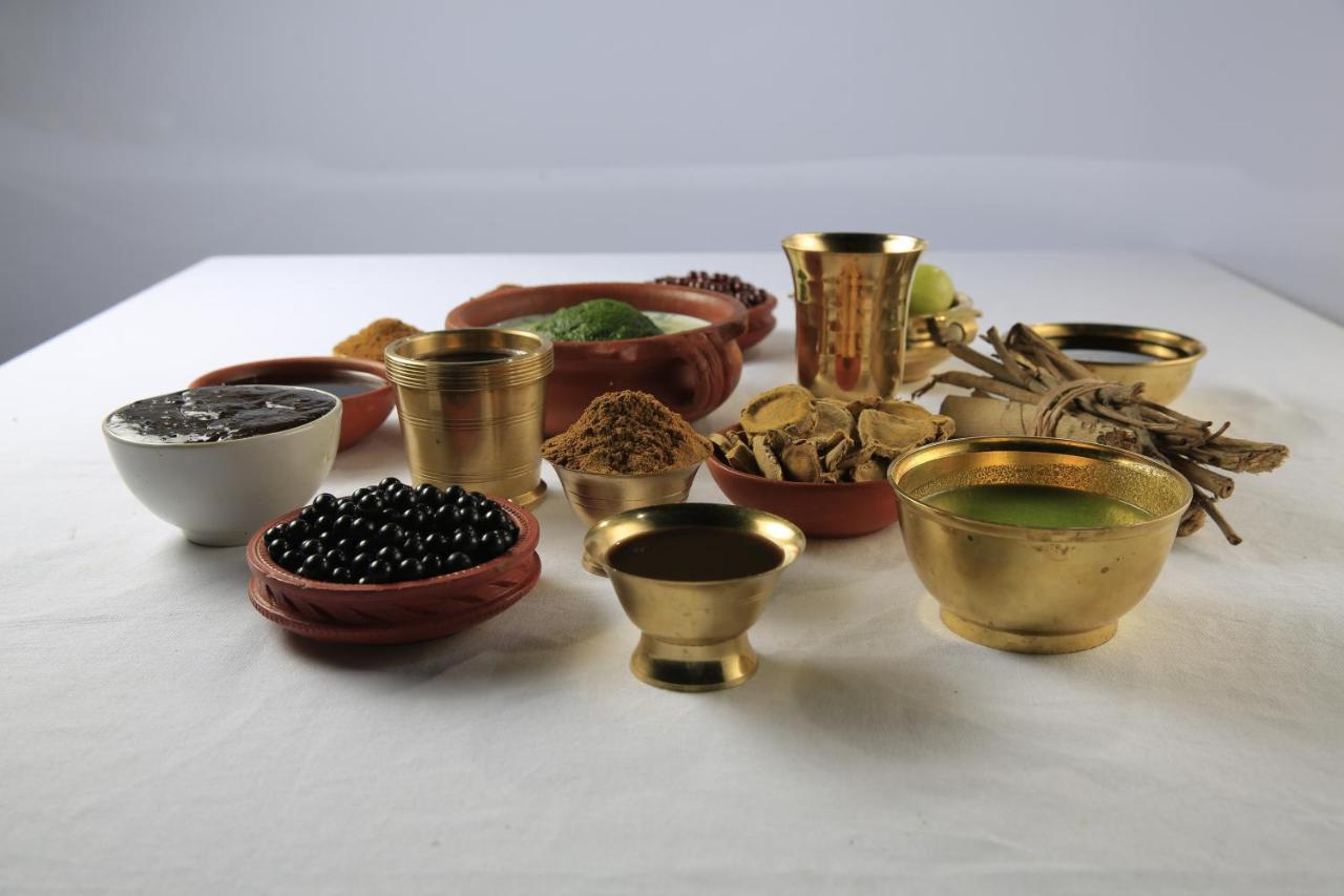Sanjeevini Life Care Village - A Science Based Non - Invasive Holistic Wellness Destination *