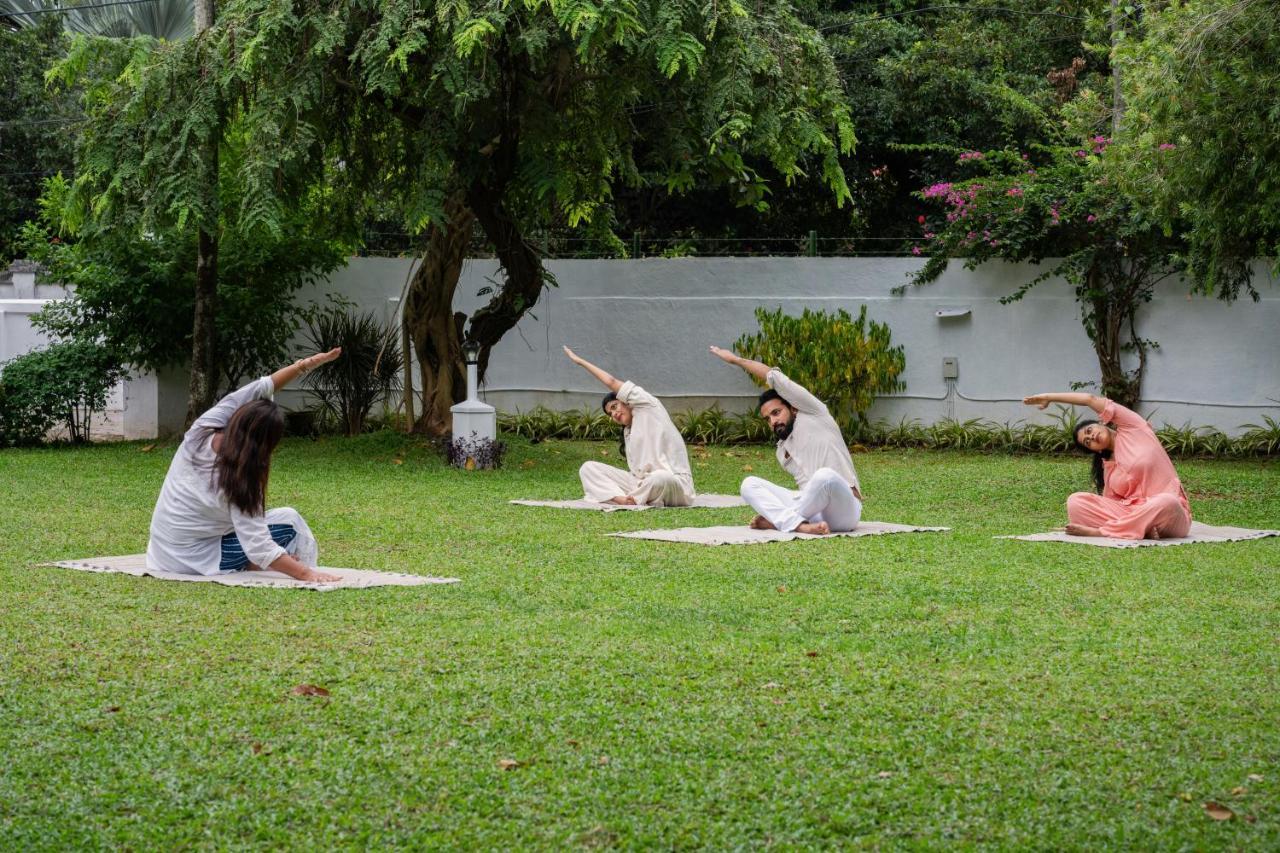 Resort The Sacred Lotus Ayurveda Wellness Retreat Kochi