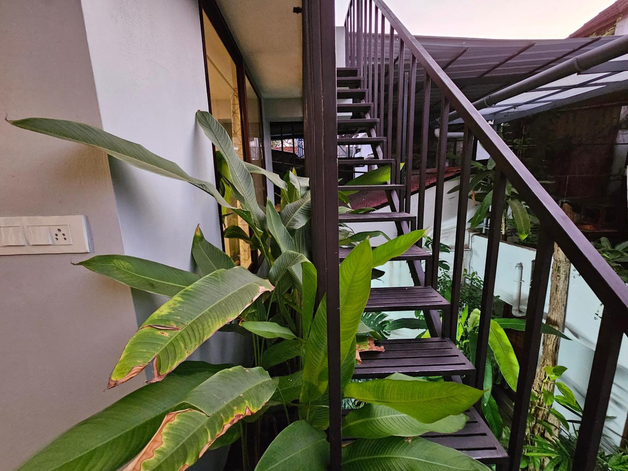 Idha Artists' Gallery - With Art Homestay