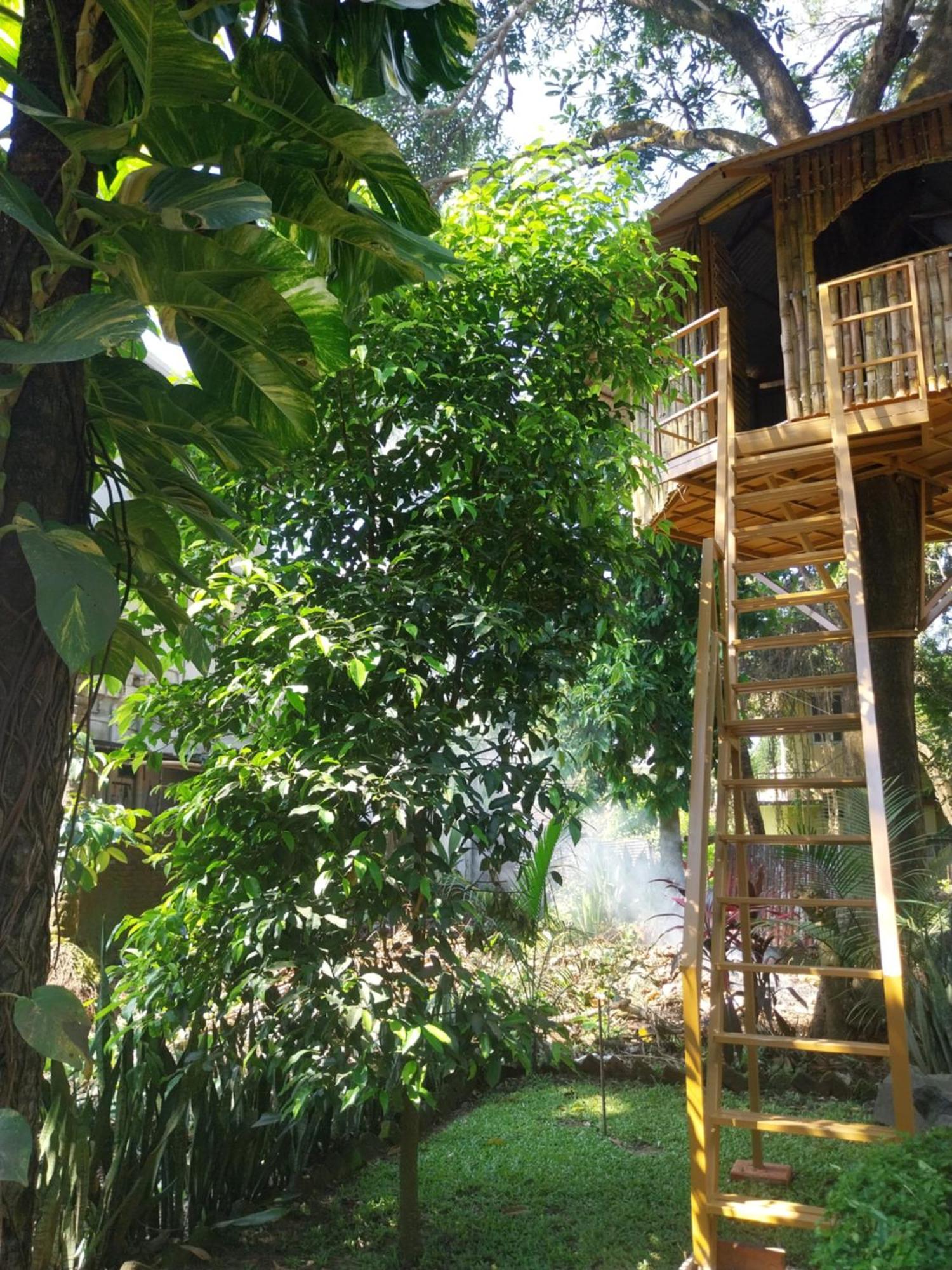 Farm stay Eden Garden Farm *