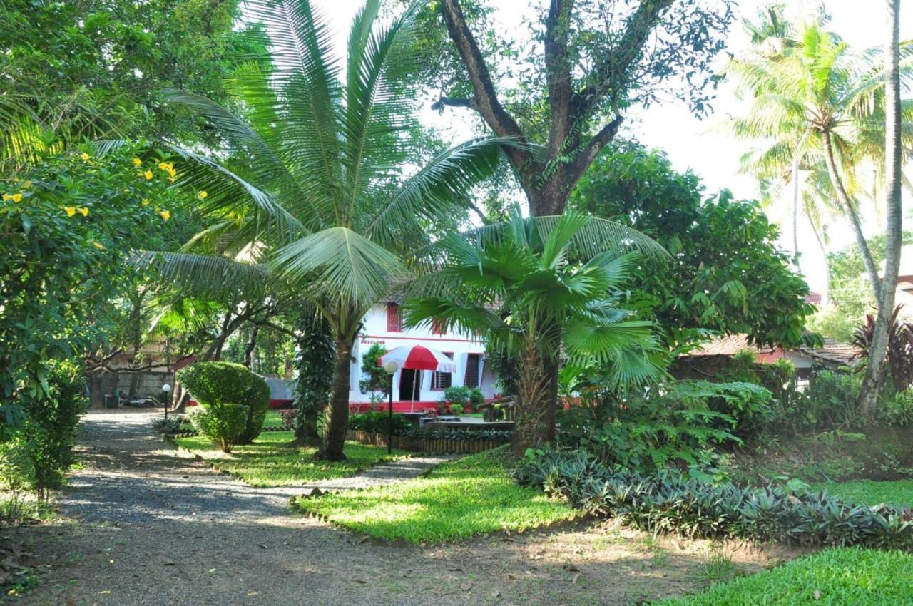 Eden Garden Farm * Kochi