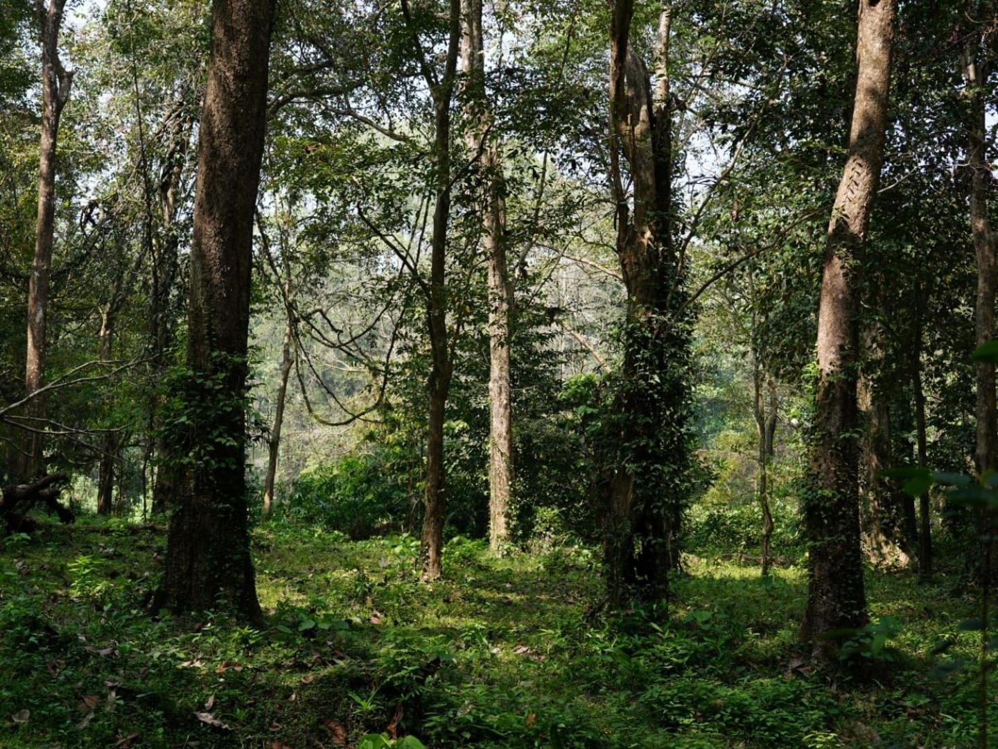 Resort Sanjeevini Life Care Village - A Science Based Non - Invasive Holistic Wellness Destination *