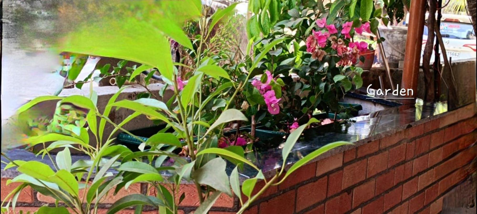 Apartment Oasis Homestay Kochi