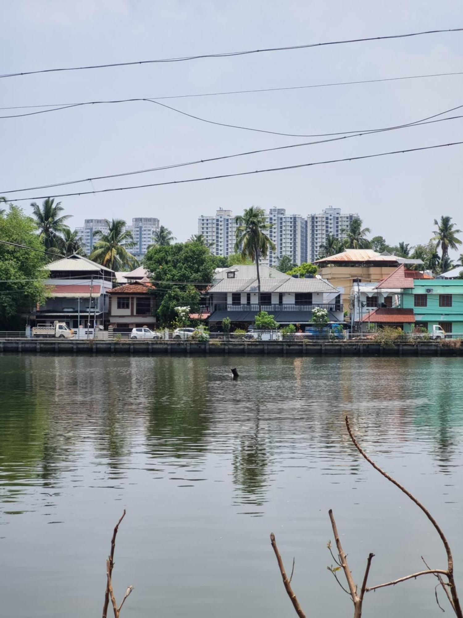 Apartment Oasis Homestay Kochi