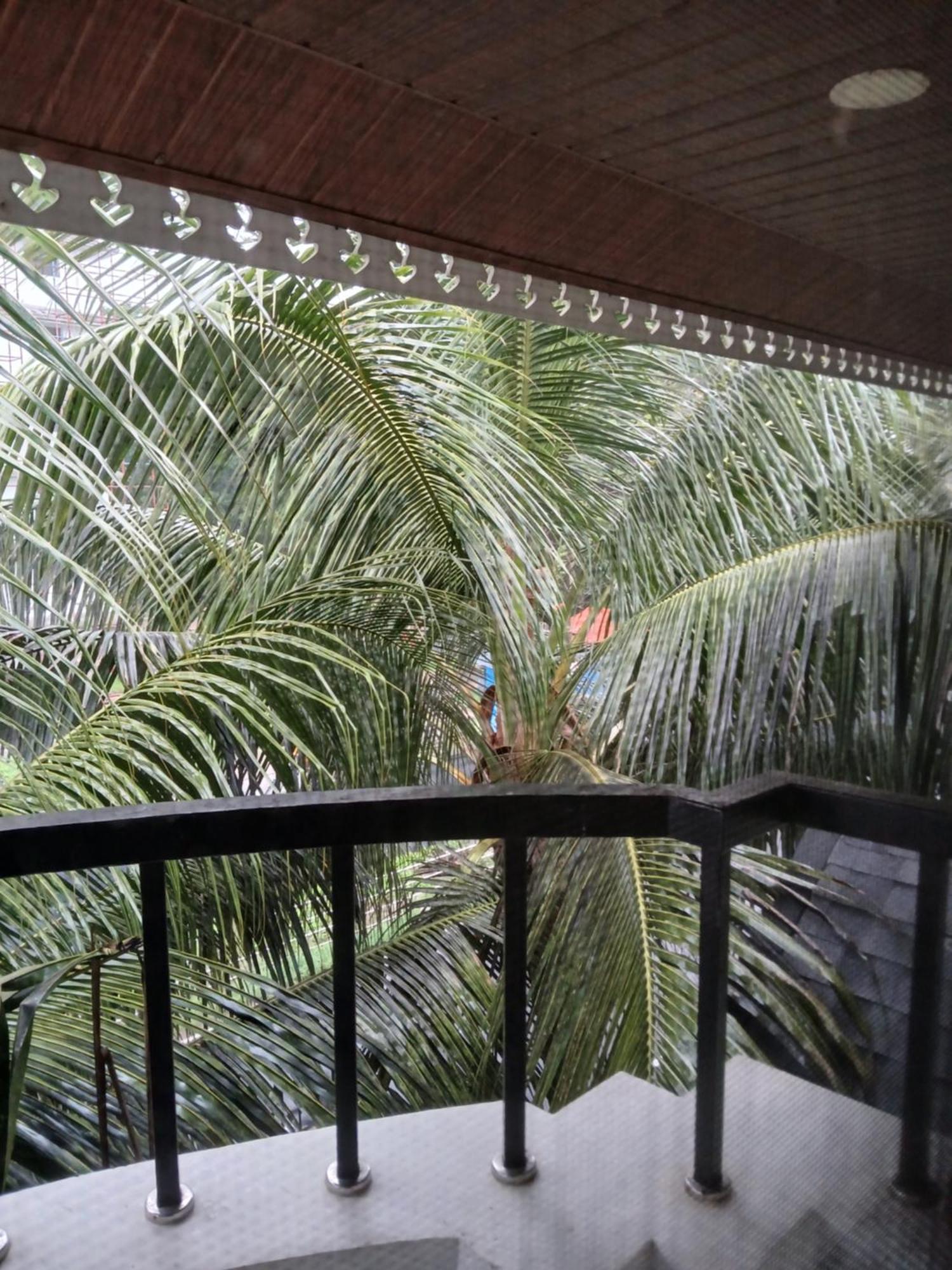Bed & Breakfast Annies Kochi