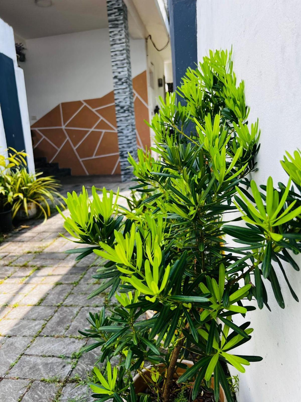 Babylon Homestay Homestay