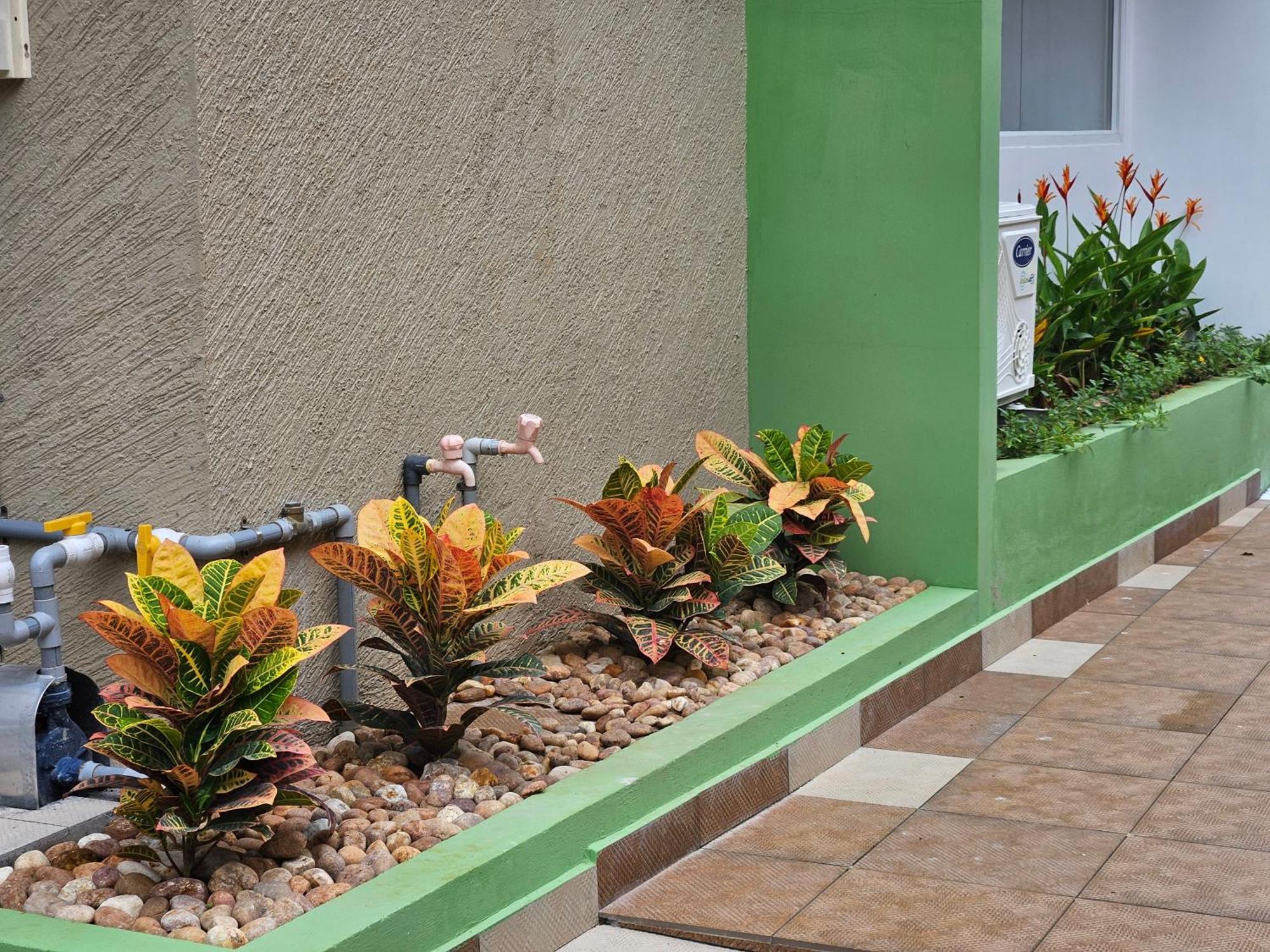 Olive Residence, Near Lakeshore Hospital Apartment *