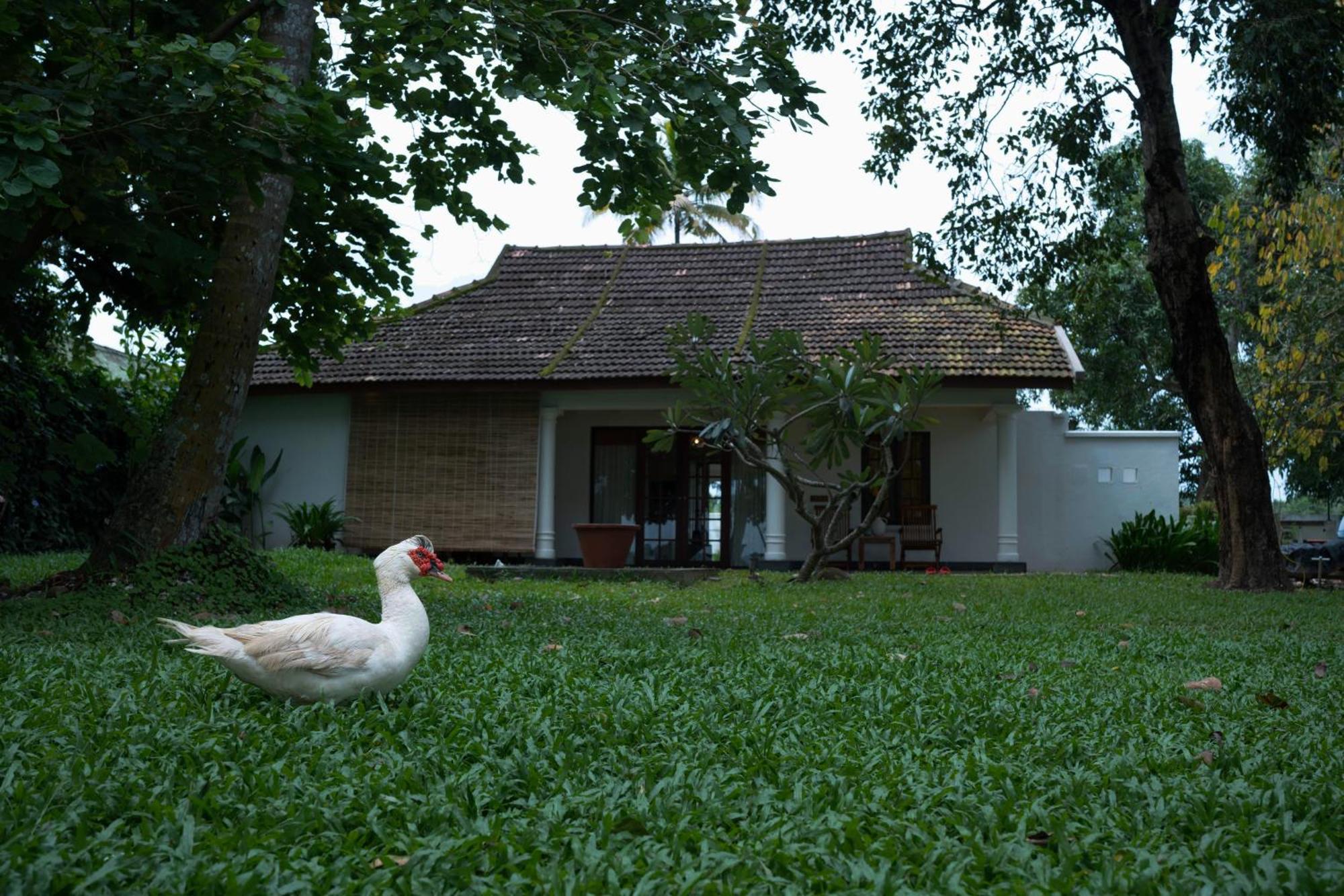 Olam On The Hotel