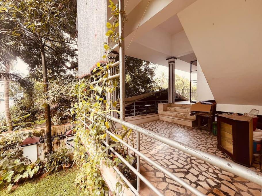 Cosy & Homely Full Kochi