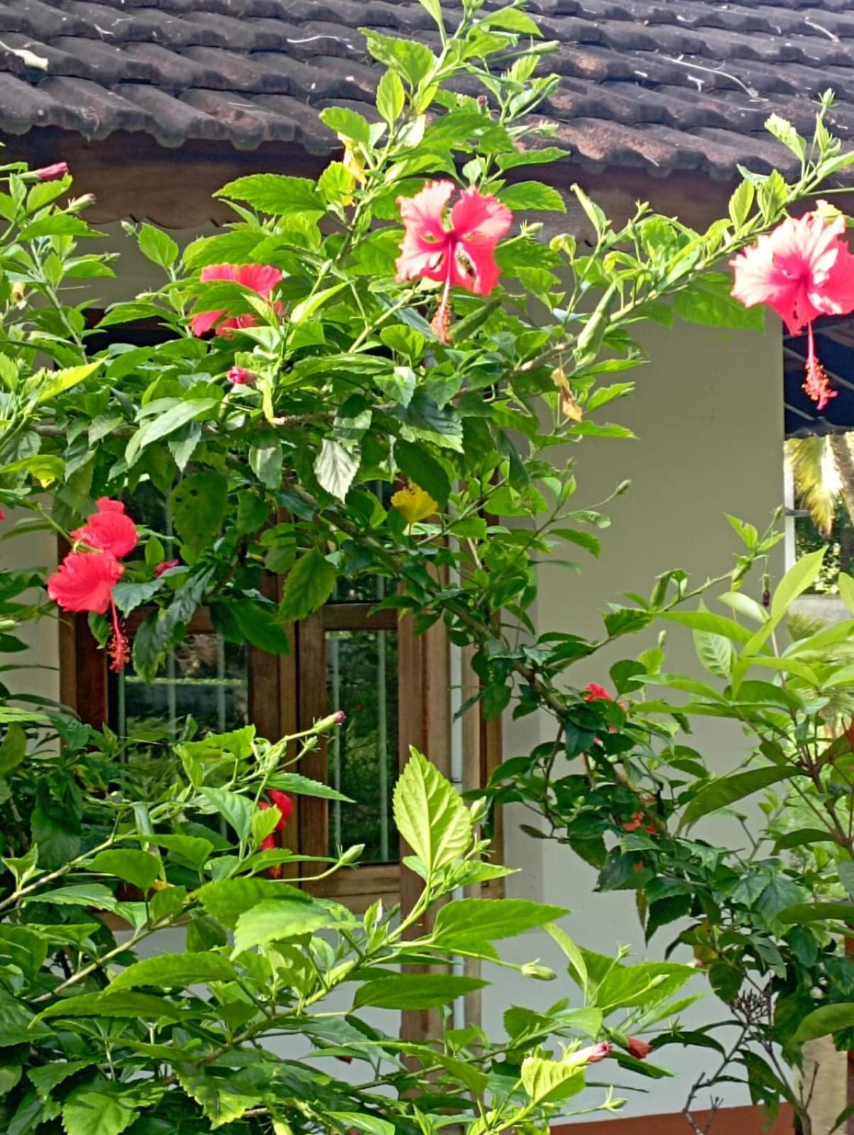 Gramam Homestay, Cochin 2*