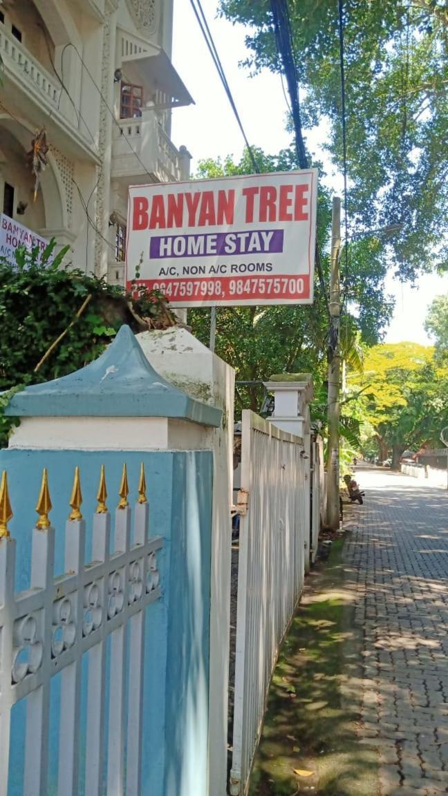 Banyan Tree *