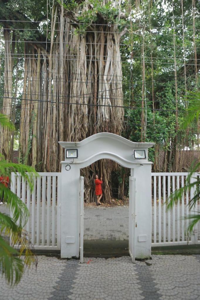 Homestay Banyan Tree *