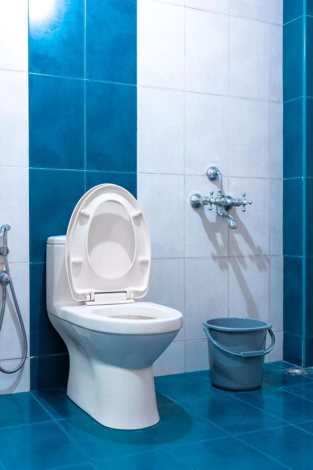 - Serviced In Marine Drive With Garden View - Ernakulam Apartment