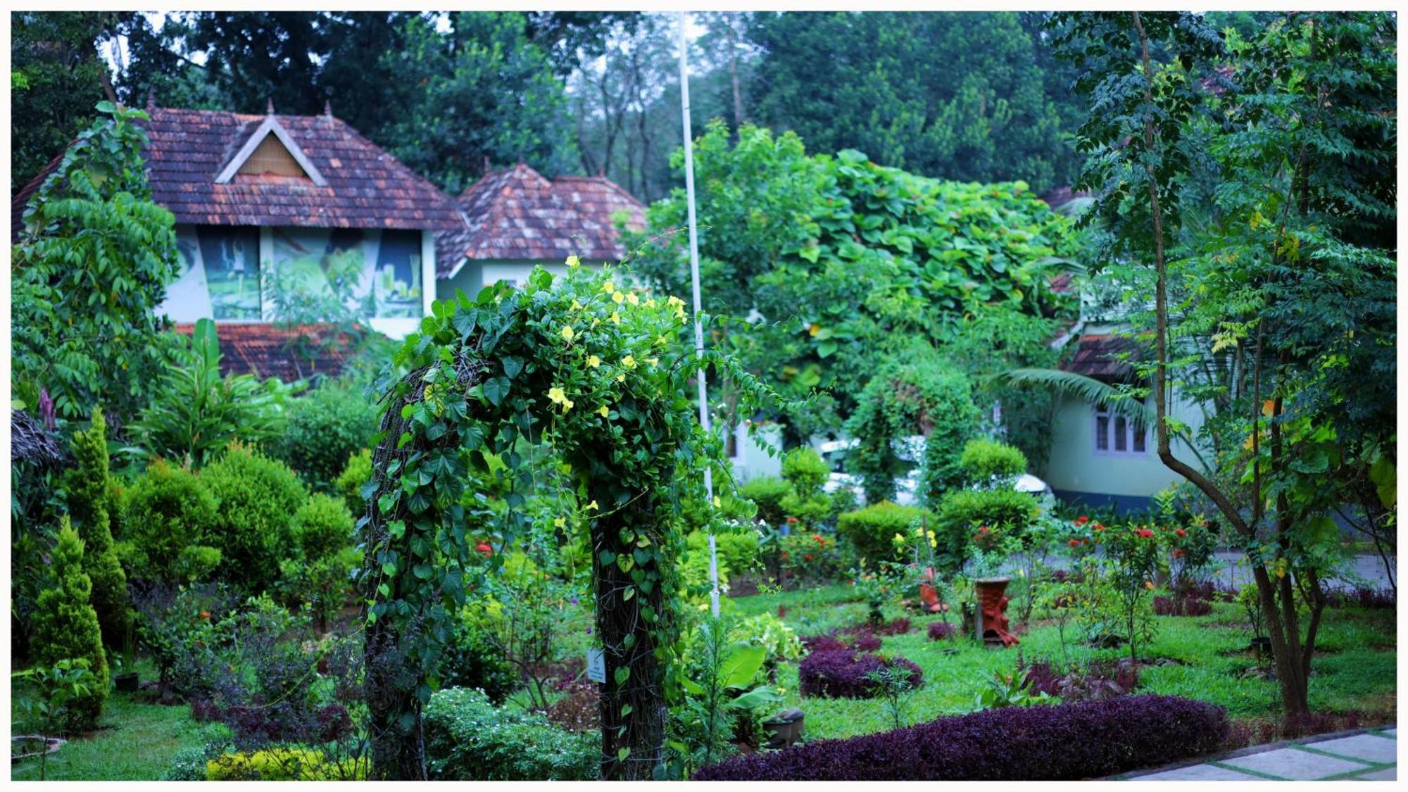 Vajra Ayurveda And Yoga Retreat Aparthotel Kochi