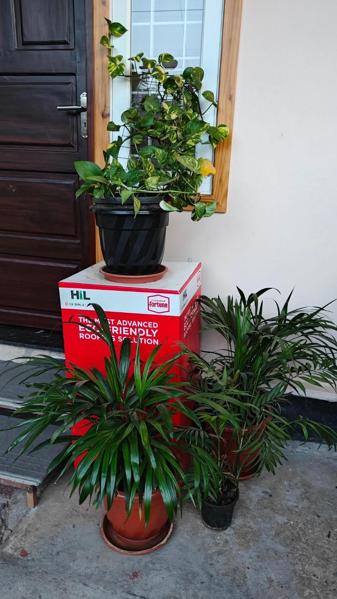 Villa Aanandam - Away From Kochi