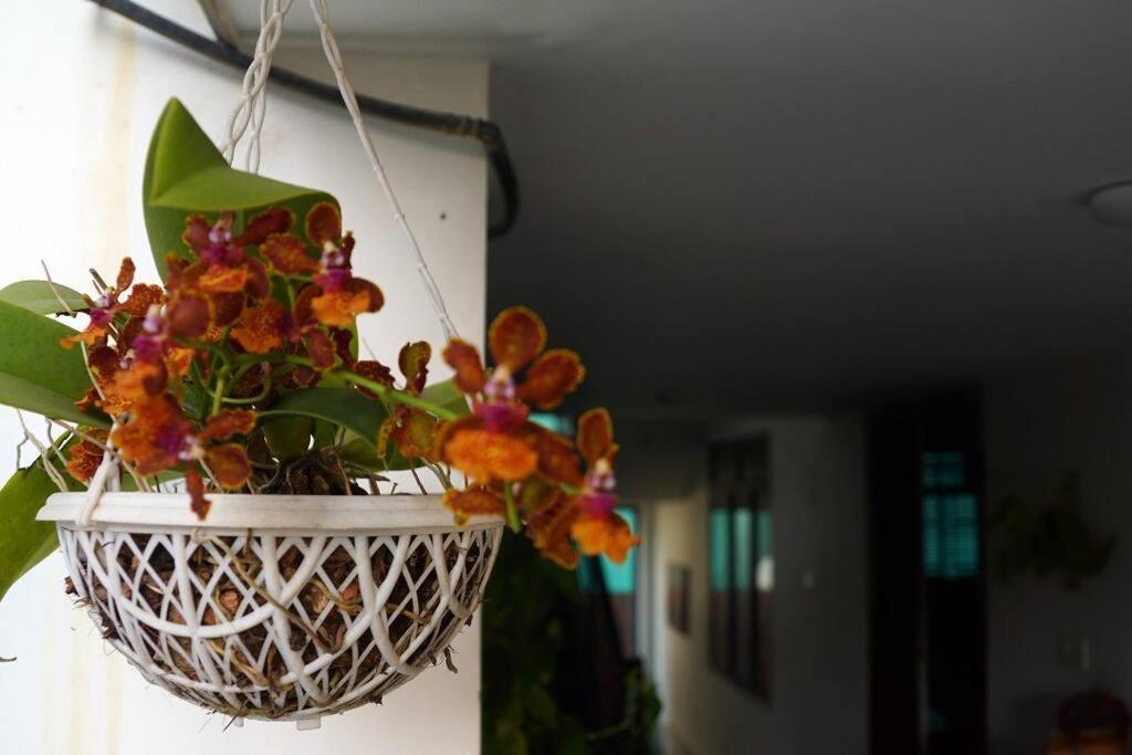 Sowparnika - A Family Experience Kochi