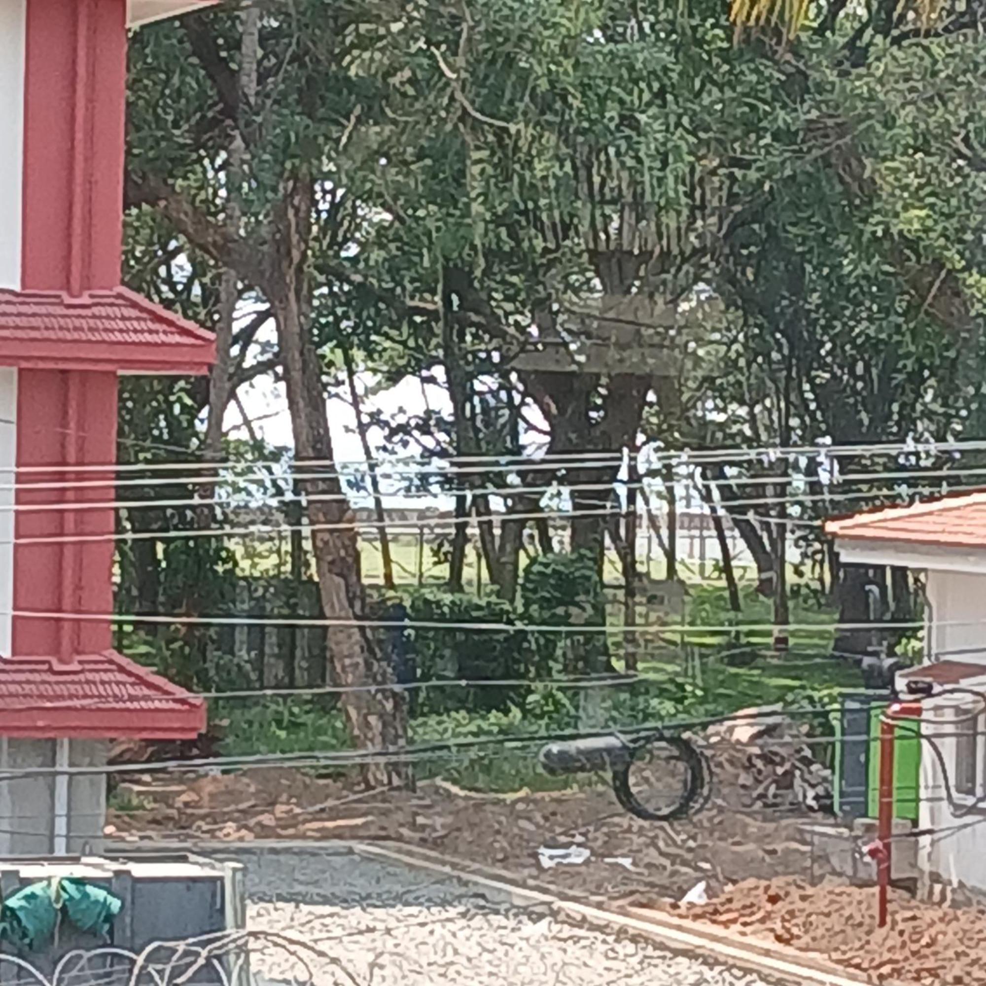 Annies Bed & Breakfast Kochi