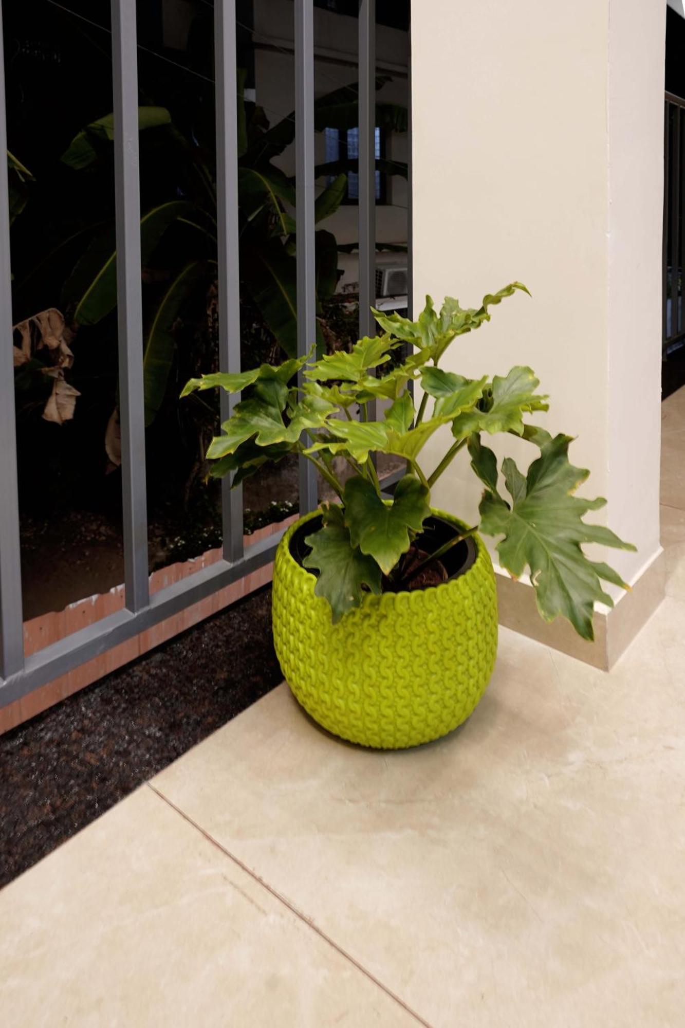 Apartment Greenview Velora Suits Kochi