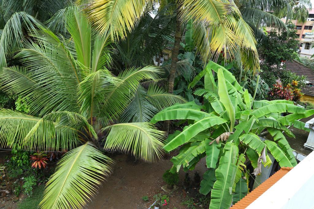 Coconut Grove Homestay Kochi