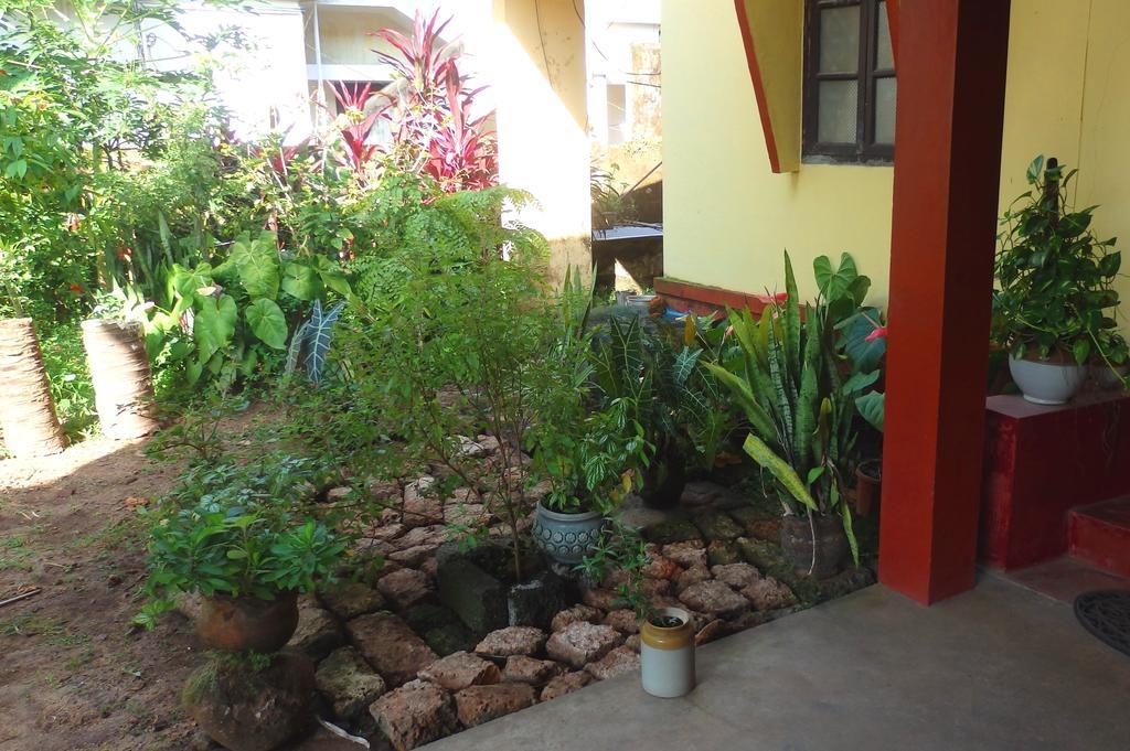David Homes Homestay Kochi