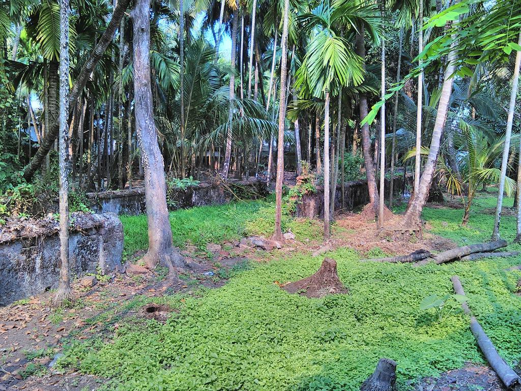 Jojies Homestay Fortkochi *