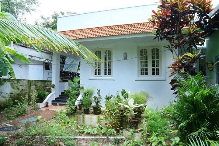Coconut Grove *