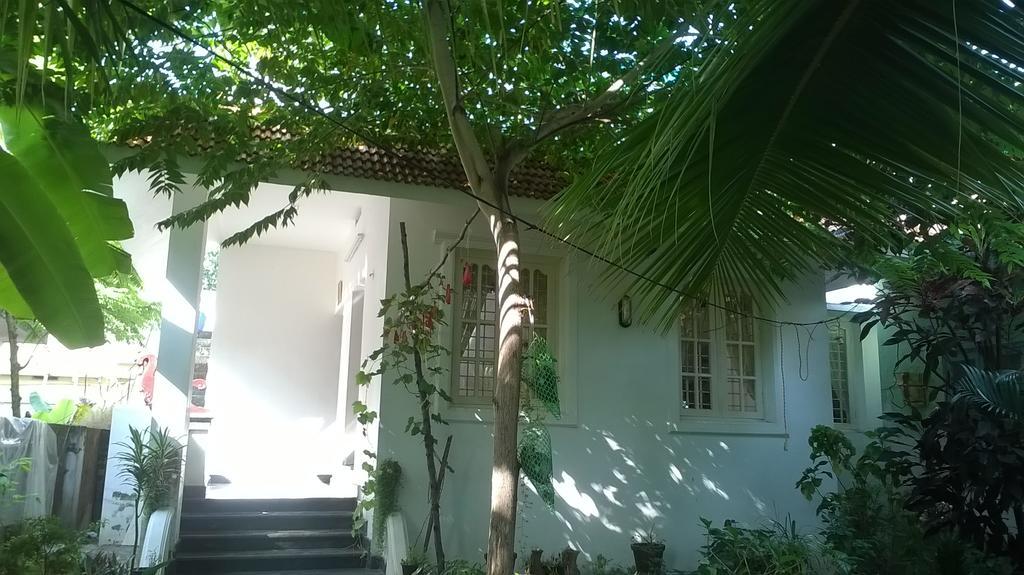 Homestay Coconut Grove Kochi