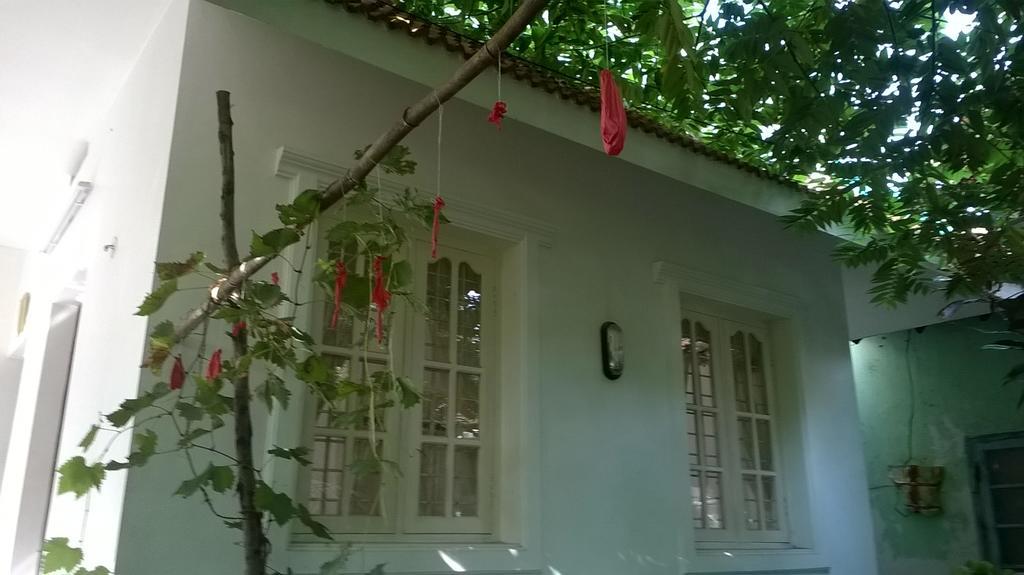 Homestay Coconut Grove