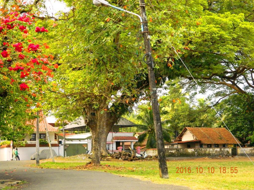 Homestay David Homes *
