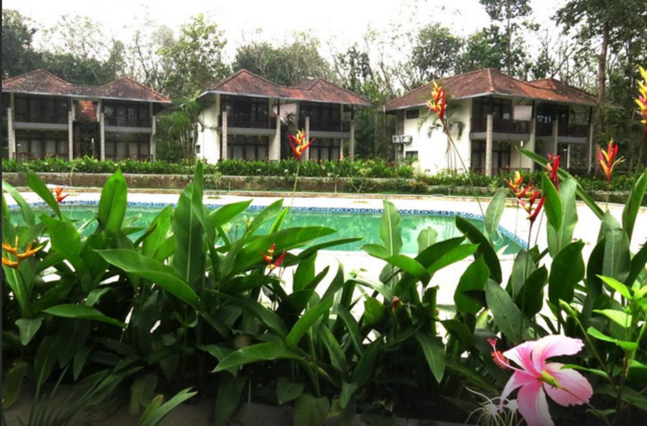 Resort Whispering Waters Cochin Kochi