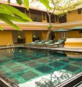Tea Resort