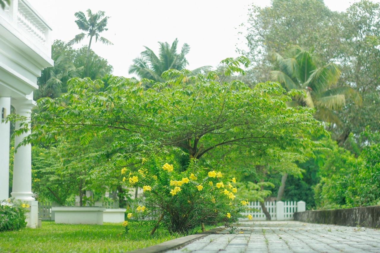 Muziris Harbour View Resort
