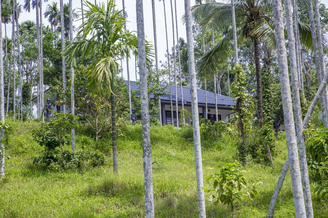 Wayanad Fort