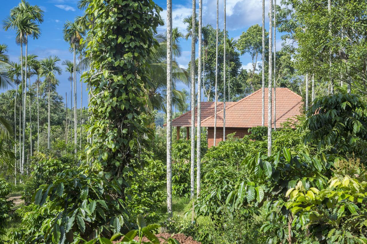 Resort Wayanad Fort Kochi