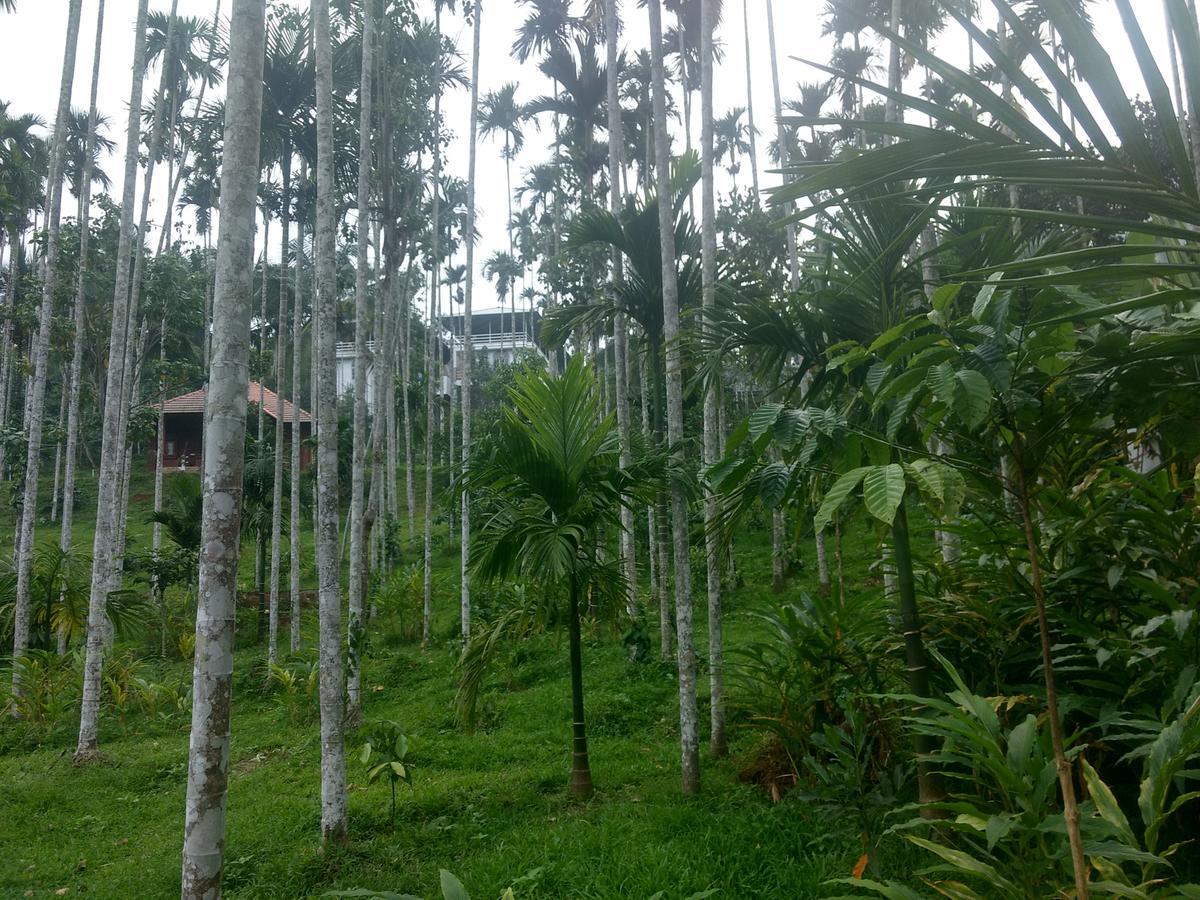 Wayanad Fort 4*