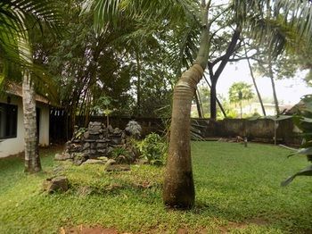 Bed & Breakfast Elphinstone Residency