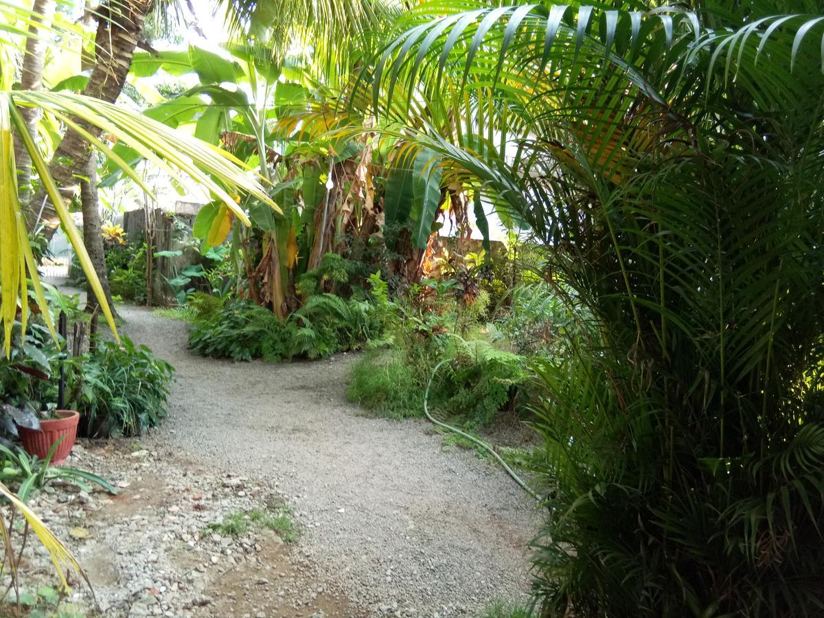 Homestay Coconut Grove *