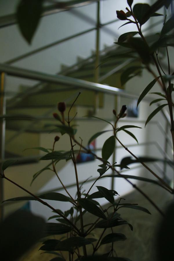 Namasthe Fort Bed & Breakfast