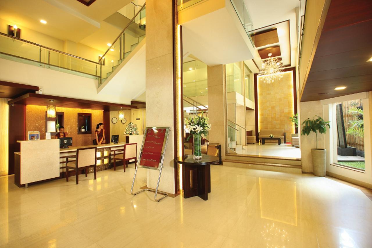 Broad Bean Cochin Kochi
