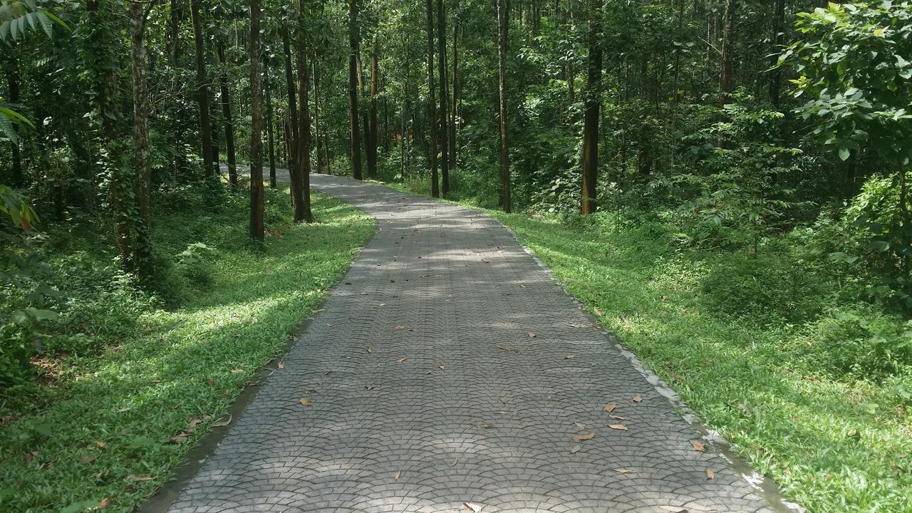 Dewland Cochin Kochi