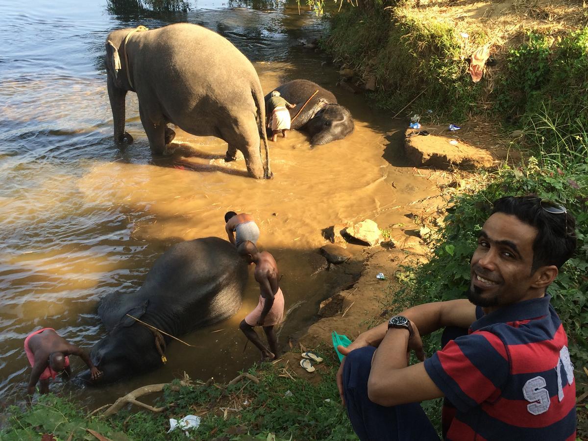 Dewland Cochin Hotel 4*
