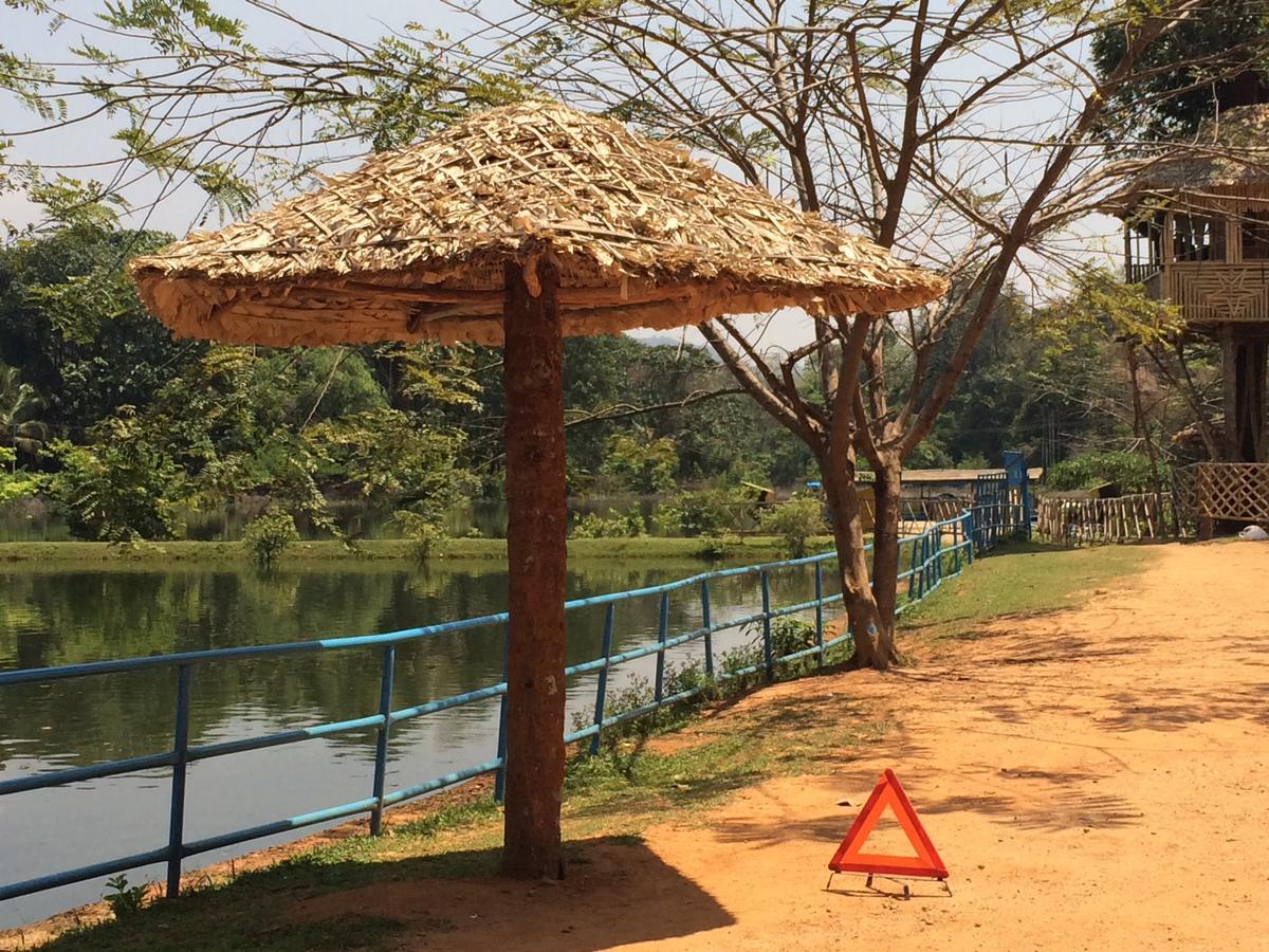 Dewland Cochin