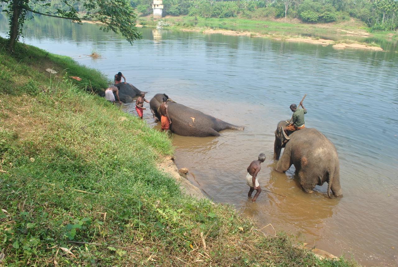 Dewland Cochin 4* Kochi