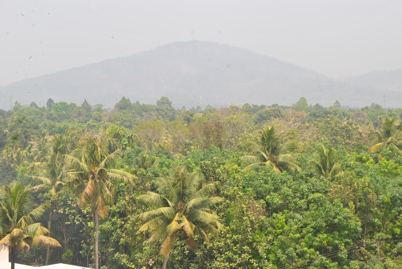 Dewland Cochin 4* Kochi