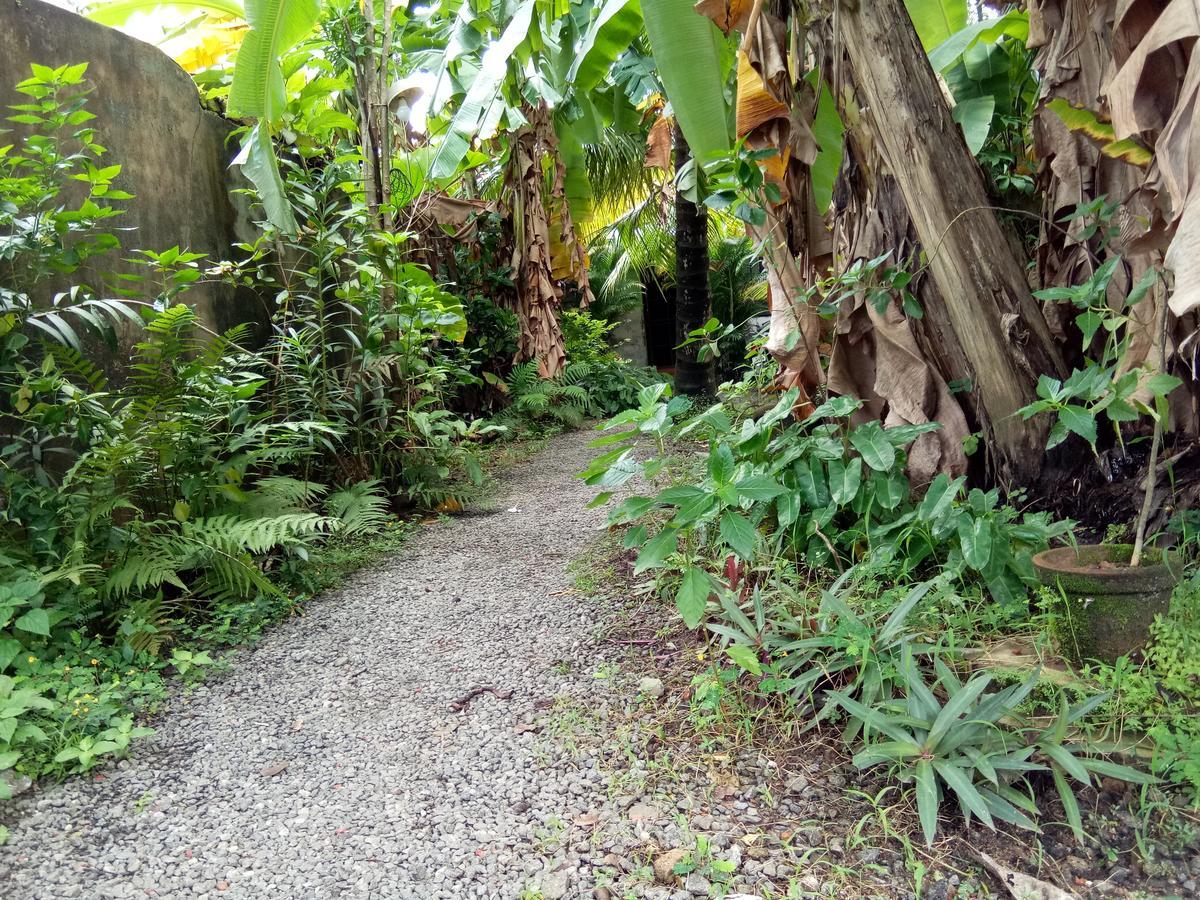 Coconut Grove Homestay Kochi