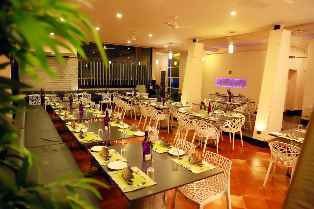 Ginger Mg Road 4*